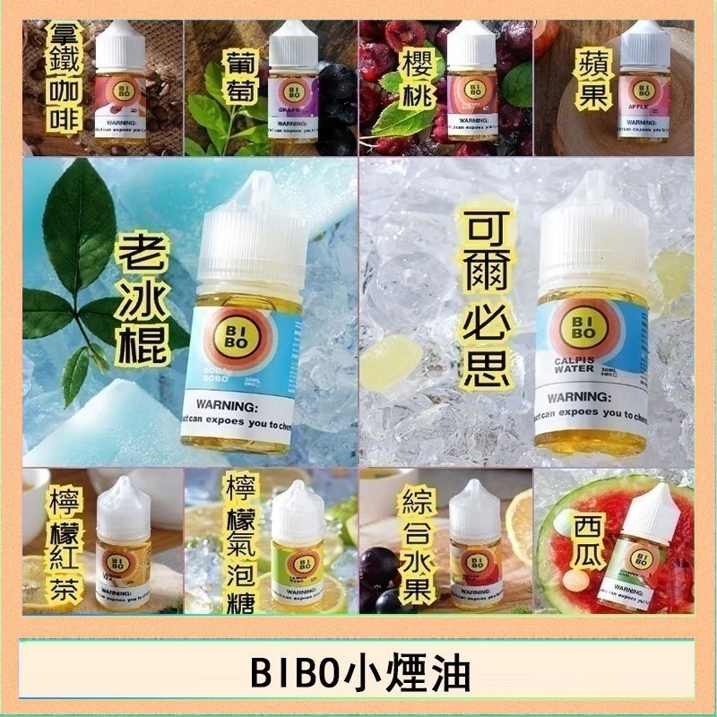 BIBO BIBO經典系列主機小煙油30ML
